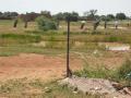 clôture du jardin de Moné-Iré , Koro
