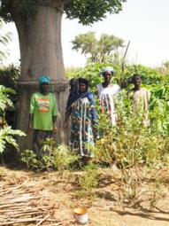 2-10 2011 avec les femmes de Pomorododiou  dans leur jardin