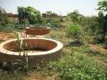 au jardin de Moné-Iré