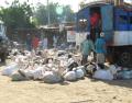 les moutons en partance pour Bamako