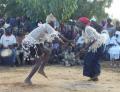 la troupe Yanagaye